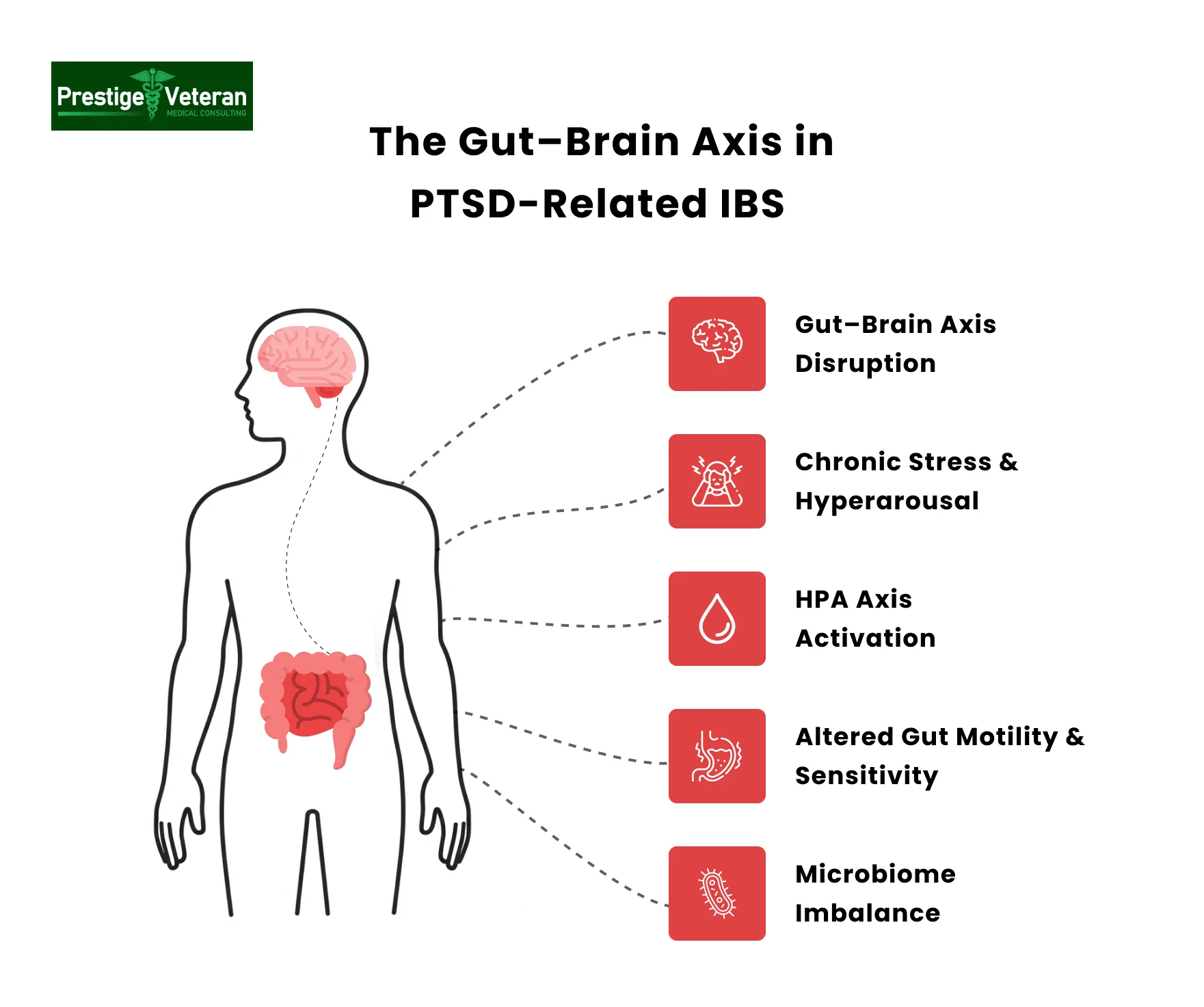 Gut–Brain Axis in PTSD IBS VA Claims