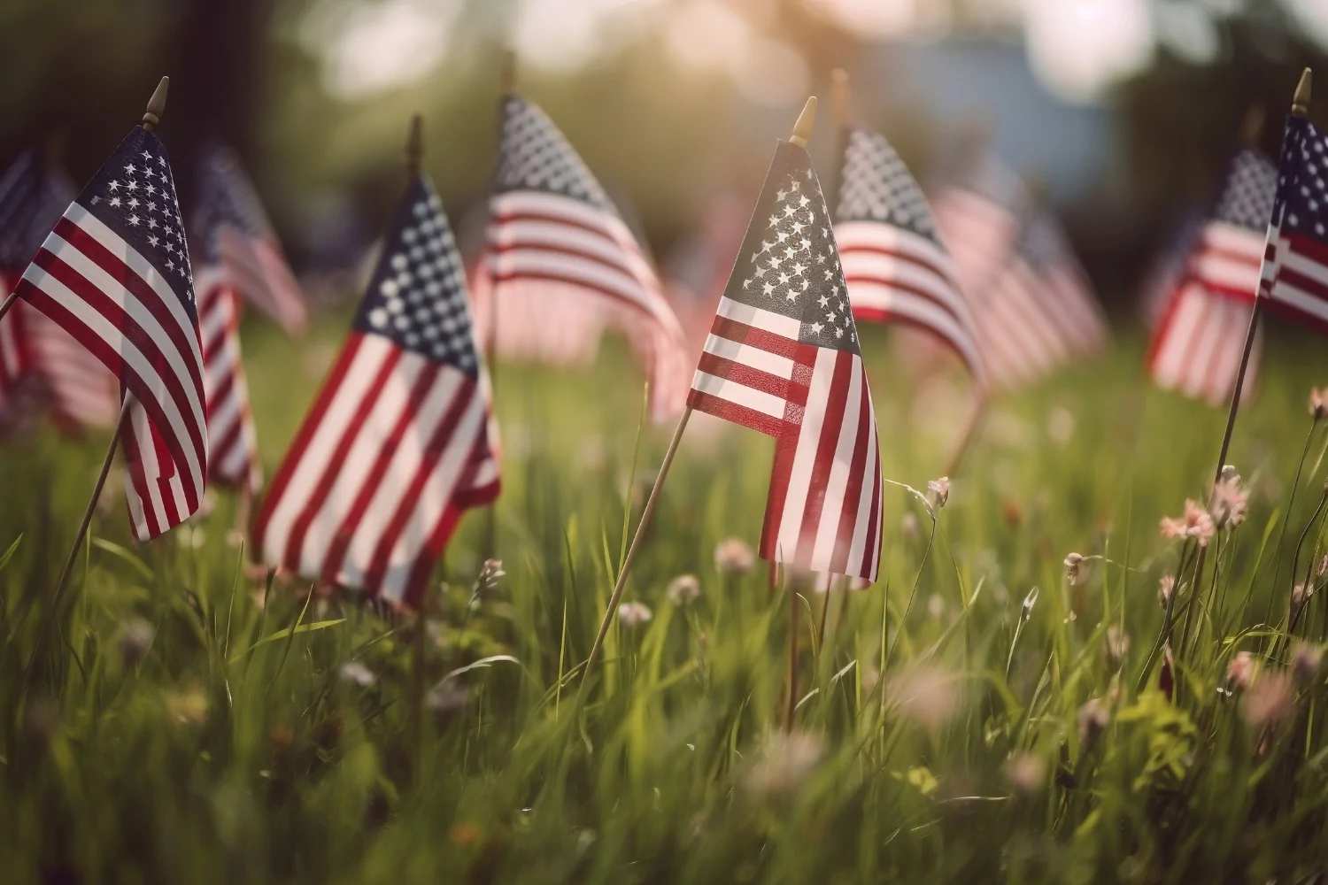 va 5 10 20 year rule