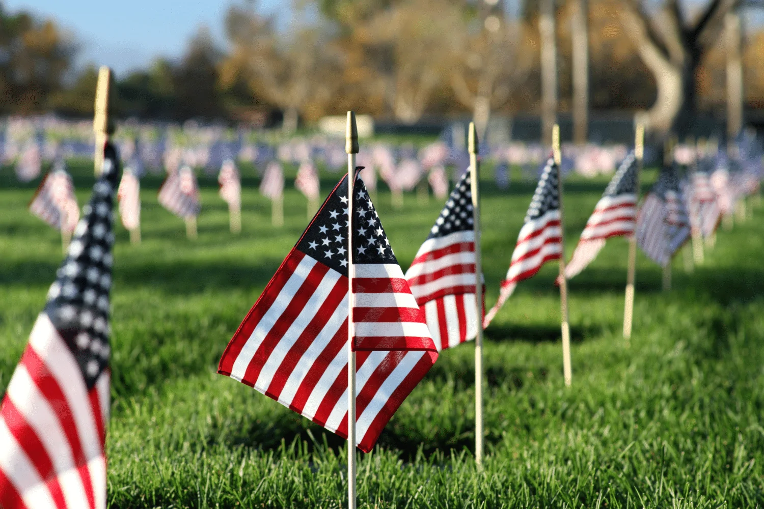 VA disability back pay